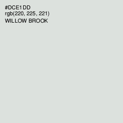 #DCE1DD - Willow Brook Color Image